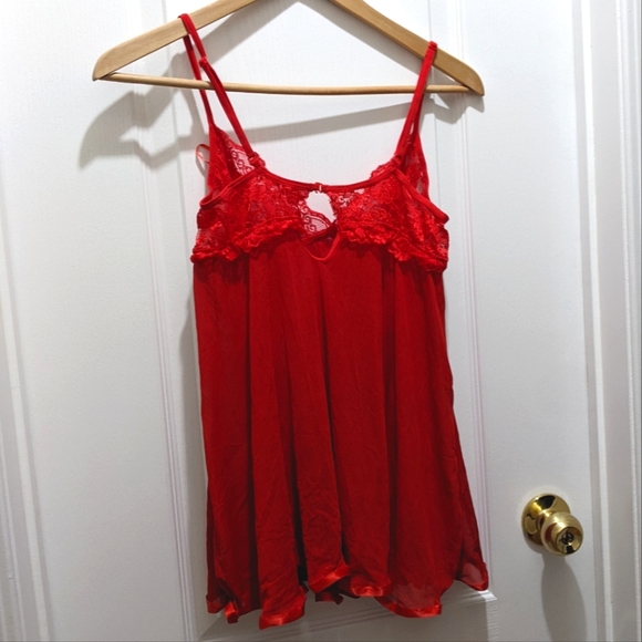 2/$45 Lingerie Lace and Netting Slip Dress - Picture 5 of 8